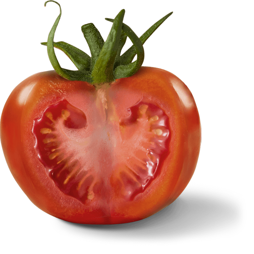 Tomato