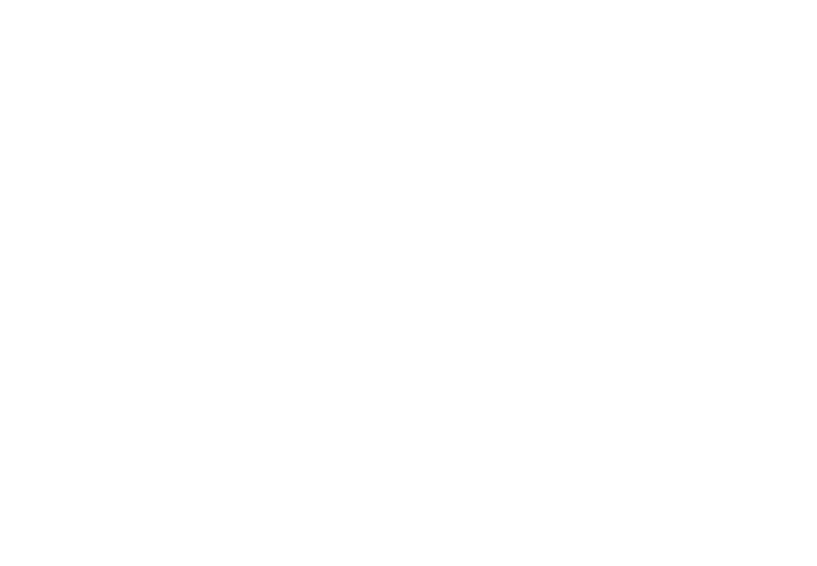 Cash Wise