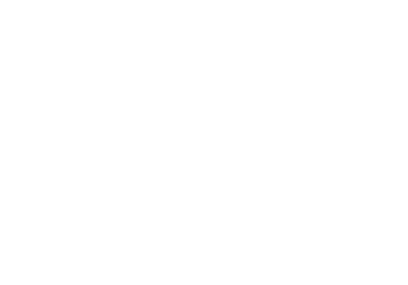 Cub Foods