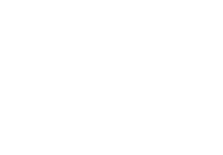 Festival